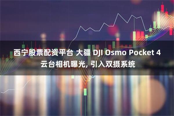 西宁股票配资平台 大疆 DJI Osmo Pocket 4 云台相机曝光, 引入双摄系统