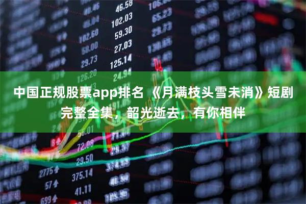 中国正规股票app排名 《月满枝头雪未消》短剧完整全集，韶光逝去，有你相伴