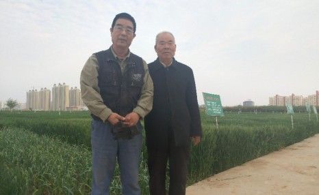 农业技术推广工作总结杨凌示范区协会2019工作汇报